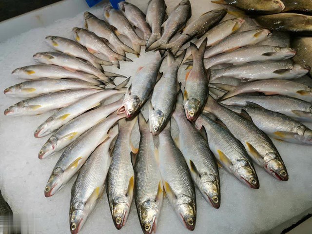 Mùa đông có 4 loại cá “dễ ngậm kim loại nặng” nên ăn ít, tiểu thương cảnh báo rẻ mấy cũng đừng mua- Ảnh 3. Mùa đông có 4 loại cá “dễ ngậm kim loại nặng” nên ăn ít, tiểu thương cảnh báo rẻ mấy cũng đừng mua- Ảnh 3.