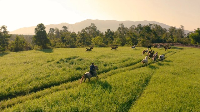 Nhà trong hang của "vua cà phê" Đặng Lê Nguyên Vũ- Ảnh 3.