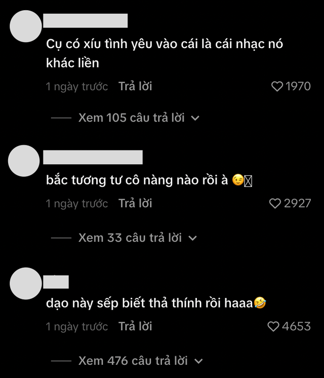 Đ&igrave;nh Bắc thả th&iacute;nh - Ảnh 3.