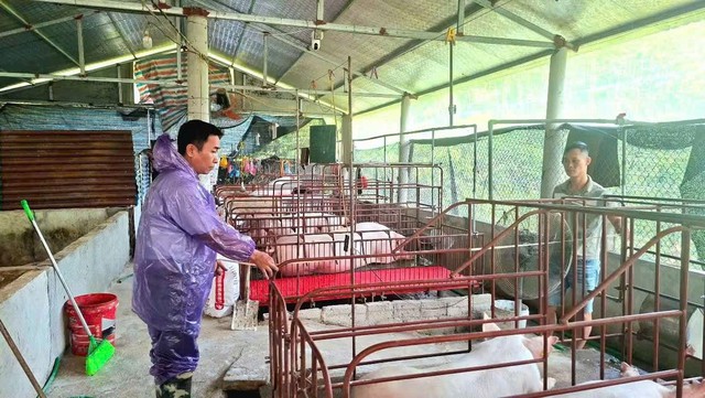 Xã Phúc Lợi hỗ trợ phát triển sản xuất, đa dạng hóa sinh kế và nhân rộng các mô hình giảm nghèo - Ảnh 4.