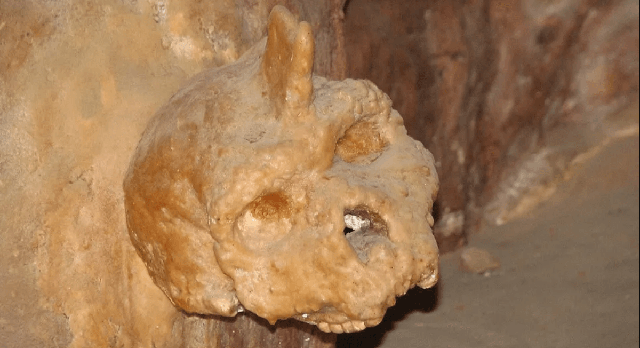 Lịch sử lo&agrave;i người c&oacute; thể phải viết lại v&igrave; ph&aacute;t hiện của một người chăn cừu v&agrave;o năm 1959 - Ảnh 1.