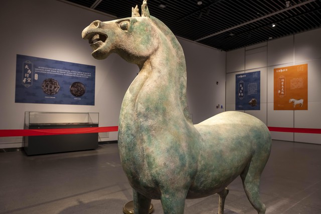 Chuyện kh&ocirc;ng ai biết về con ngựa- Ảnh 2.