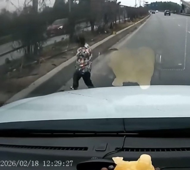 Clip g&acirc;y phẫn nộ: B&eacute; trai chạy băng qua cao tốc, &ocirc; t&ocirc; phanh &ldquo;ch&aacute;y b&aacute;nh&rdquo;, cha mẹ thản nhi&ecirc;n, kh&ocirc;ng n&oacute;i nổi 1 c&acirc;u xin lỗi - Ảnh 1.