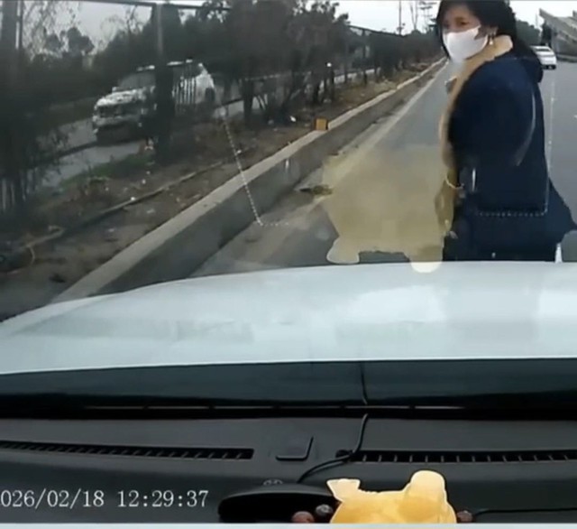 Clip g&acirc;y phẫn nộ: B&eacute; trai chạy băng qua cao tốc, &ocirc; t&ocirc; phanh &ldquo;ch&aacute;y b&aacute;nh&rdquo;, cha mẹ thản nhi&ecirc;n, kh&ocirc;ng n&oacute;i nổi 1 c&acirc;u xin lỗi - Ảnh 2.