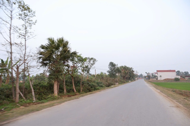 Khi t&ocirc;i về Tết qu&ecirc; chồng v&agrave; t&igrave;m lại hương vị l&agrave;ng Việt - Ảnh 1.