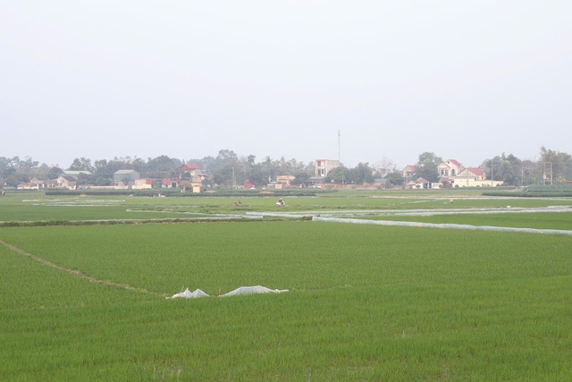 Khi t&ocirc;i về Tết qu&ecirc; chồng v&agrave; t&igrave;m lại hương vị l&agrave;ng Việt - Ảnh 2.