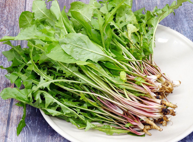 Loại cỏ dại nhưng được coi là “nữ hoàng thảo dược”, pha nước uống có loạt công dụng khiến nhiều người bất ngờ- Ảnh 2. Loại cỏ dại nhưng được coi là “nữ hoàng thảo dược”, pha nước uống có loạt công dụng khiến nhiều người bất ngờ- Ảnh 2.