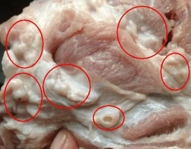 3 phần thịt lợn bị cảnh báo “tiềm ẩn rủi ro”, bác sĩ nhắc nên hạn chế ăn nếu không muốn rước họa vào thân - Ảnh 1.
