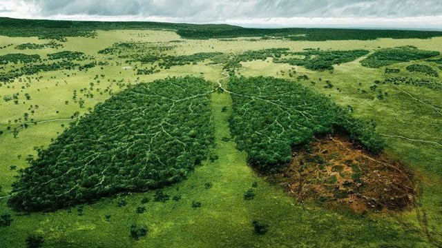 &ldquo;Thơ mất ngủ&rdquo; Th&ocirc;ng điệp mang t&iacute;nh nh&acirc;n văn:  - Ảnh 1.