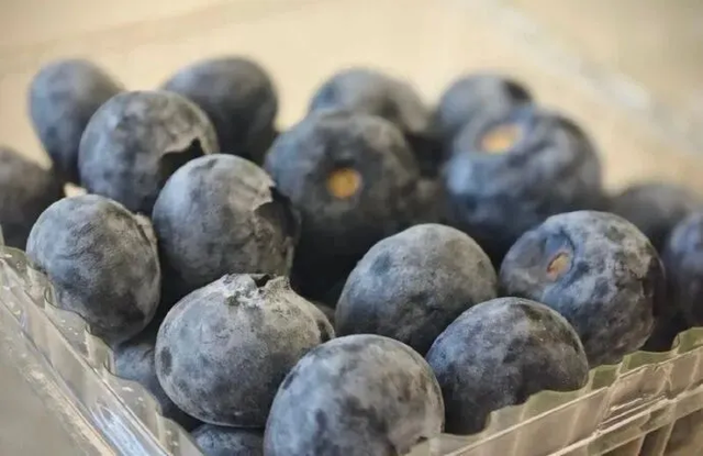 5 loại vi&ecirc;m tưởng nhẹ  thực chất l&agrave; &ldquo;chu&ocirc;ng b&aacute;o ung thư&rdquo;: c&agrave;ng dập sớm, rủi ro c&agrave;ng thấp- Ảnh 2.