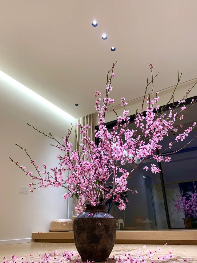 Vị trí "đại kỵ" khi đặt cây quất, cành đào ngày Tết khiến tài lộc đội nón ra đi, gia chủ nghèo đi trông thấy mà không hiểu lý do - Ảnh 1.