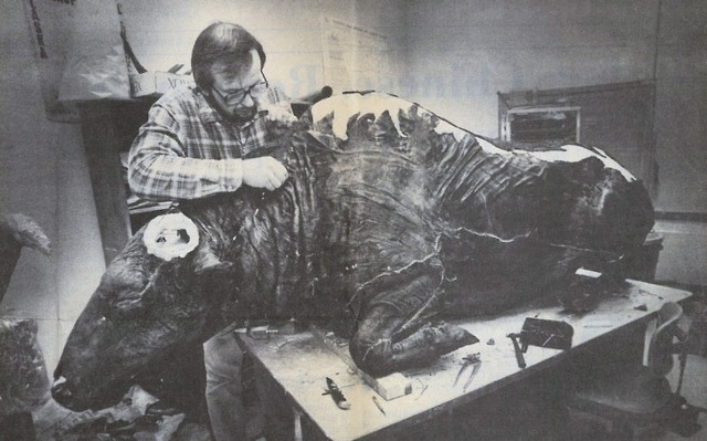 C&aacute;c nh&agrave; khoa học đ&atilde; nấu một con b&ograve; rừng 50.000 năm tuổi để ăn v&agrave; nhận x&eacute;t: "Ngon tuyệt nhưng dai kinh khủng!" - Ảnh 3.