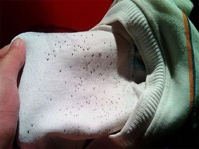 H&agrave; Nội nồm ướt như x&ocirc;ng hơi, mẹ bảo kh&ocirc;ng mua m&aacute;y h&uacute;t ẩm: T&ocirc;i c&atilde;i ngay - Ảnh 2.