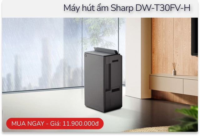 H&agrave; Nội nồm ướt như x&ocirc;ng hơi, mẹ bảo kh&ocirc;ng mua m&aacute;y h&uacute;t ẩm: T&ocirc;i c&atilde;i ngay - Ảnh 5.