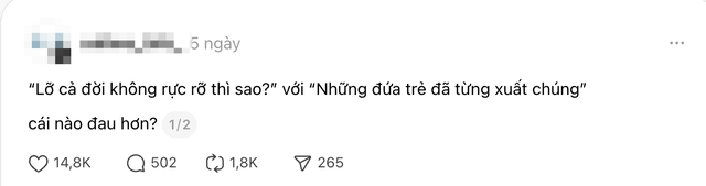 &ldquo;Lỡ cả đời kh&ocirc;ng rực rỡ th&igrave; sao&rdquo; so với &ldquo;đ&atilde; từng xuất ch&uacute;ng nhưng hiện tại th&igrave; kh&ocirc;ng&rdquo;, c&aacute;i n&agrave;o hối tiếc hơn?- Ảnh 1.