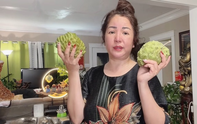 Nữ nghệ sĩ ở Mỹ bị hăm dọa - Ảnh 1.