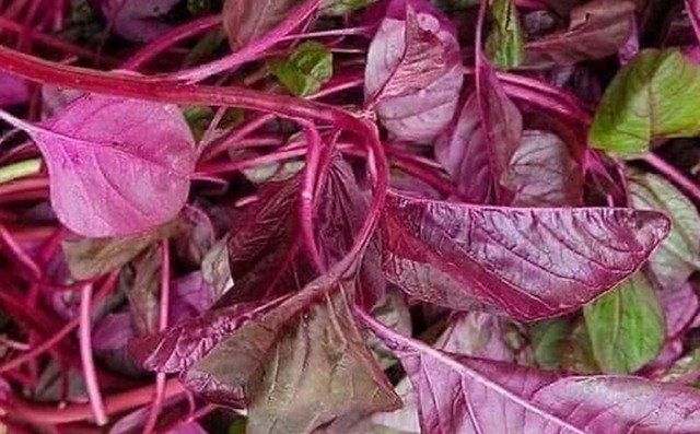 5 loại rau nhiều canxi hơn sữa, b&aacute;n la liệt ở chợ Việt- Ảnh 2.