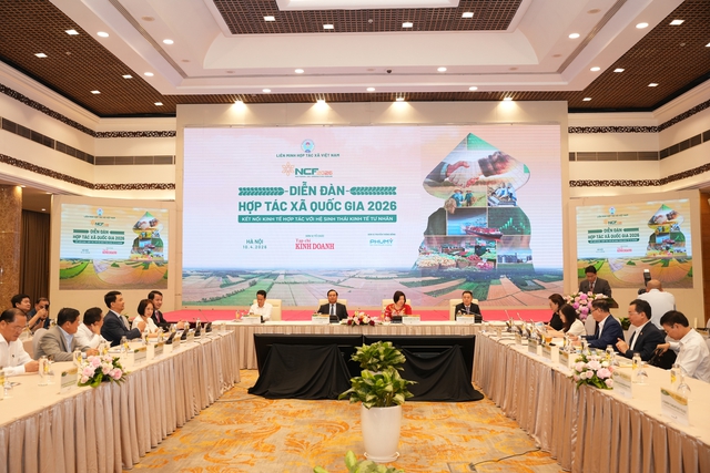 Kết nối kinh tế hợp t&aacute;c với hệ sinh th&aacute;i kinh tế tư nh&acirc;n - Ảnh 2.