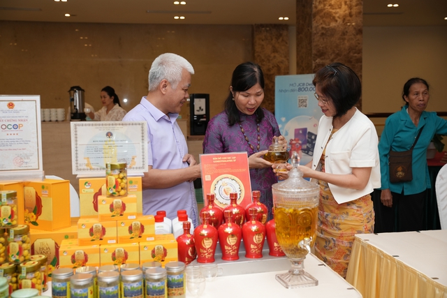 Kết nối kinh tế hợp t&aacute;c với hệ sinh th&aacute;i kinh tế tư nh&acirc;n - Ảnh 3.