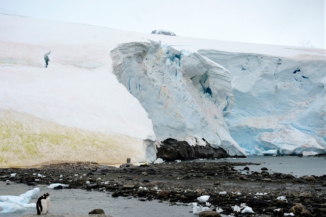 Thế giới sắp vĩnh viễn mất đi 1 m&agrave;u sắc - Ảnh 1.