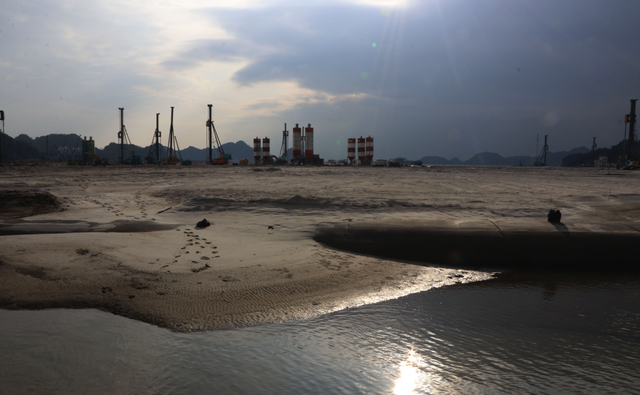 Chum mắm chờ c&aacute;: Nỗi trăn trở ở Đặc khu C&aacute;t Hải  - Ảnh 2.