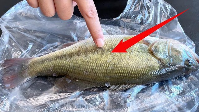 Mẹo đ&aacute;nh vảy c&aacute;: Kh&ocirc;ng cần dao hay đồ b&agrave;o, chỉ d&ugrave;ng 1 