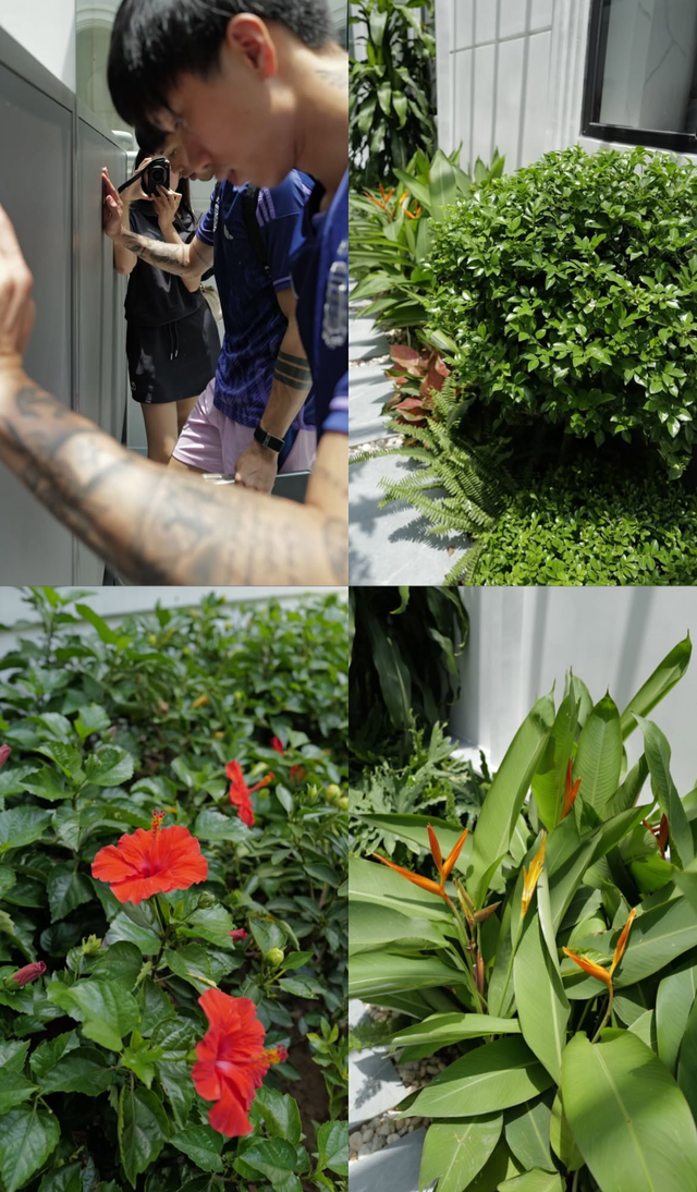 T&igrave;nh trạng khu vườn ở biệt thự mấy chục tỷ tiết lộ sự thật về Do&atilde;n Hải My - Ảnh 7.