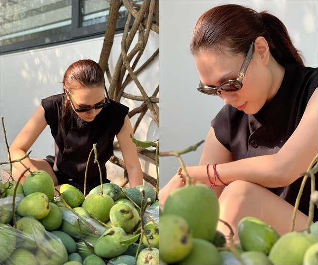 Tăng Thanh Hà, Mỹ Tâm đua nhau trồng 1 loại cây cho quả lúc lỉu: Ngon, sạch chẳng lo thuốc trừ sâu còn xóa nhăn da- Ảnh 2. Tăng Thanh Hà, Mỹ Tâm đua nhau trồng 1 loại cây cho quả lúc lỉu: Ngon, sạch chẳng lo thuốc trừ sâu còn xóa nhăn da- Ảnh 2.