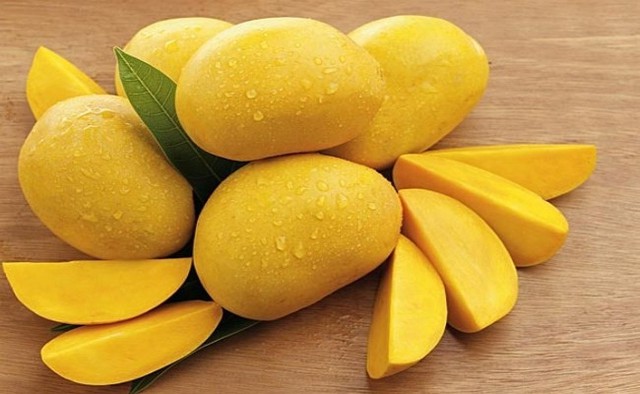 Tăng Thanh Hà, Mỹ Tâm đua nhau trồng 1 loại cây cho quả lúc lỉu: Ngon, sạch chẳng lo thuốc trừ sâu còn xóa nhăn da- Ảnh 3. Tăng Thanh Hà, Mỹ Tâm đua nhau trồng 1 loại cây cho quả lúc lỉu: Ngon, sạch chẳng lo thuốc trừ sâu còn xóa nhăn da- Ảnh 3.