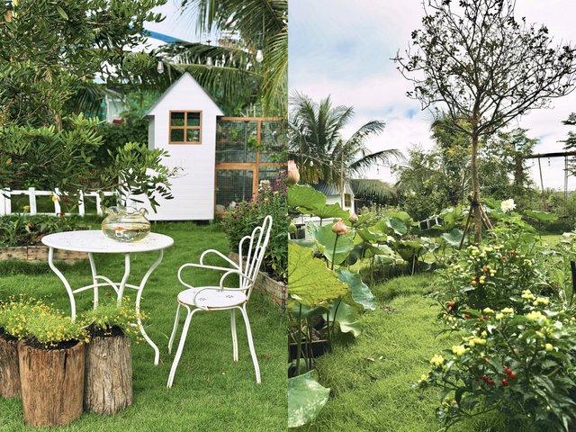 Bỏ việc văn ph&ograve;ng, d&ugrave;ng ChatGPT thiết kế khu vườn tr&ecirc;n mảnh đất 1000m2: "Hết đau cổ vai g&aacute;y th&igrave; chuyển sang đau lưng v&igrave; cuốc đất"- Ảnh 26.