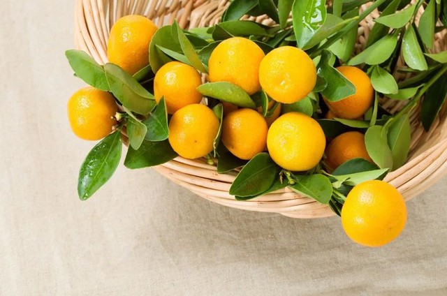 5 loại &ldquo;quả v&agrave;ng&rdquo; được v&iacute; như cao thủ ti&ecirc;u đờm: Ăn đ&uacute;ng c&aacute;ch gi&uacute;p l&agrave;m sạch phổi, giảm ho, cổ họng dễ chịu- Ảnh 3.