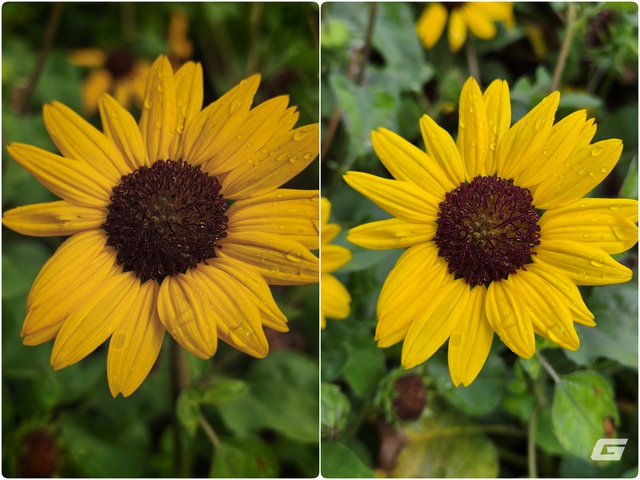 Blind test camera Xiaomi 17T Pro và Galaxy S26 Plus: Chỉ cần nhìn màu sắc là đoán được ngay? - Ảnh 5.