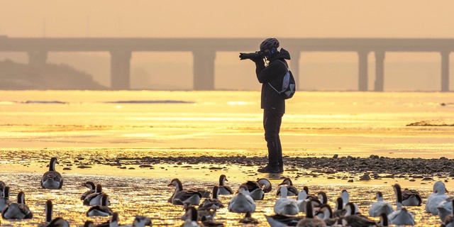 Trào lưu Birdwatching là gì mà 820 triệu người trẻ Trung Quốc đổ xô theo, kéo cả các thương hiệu lớn vào cuộc? - Ảnh 6.