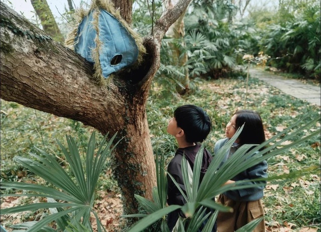 Trào lưu Birdwatching là gì mà 820 triệu người trẻ Trung Quốc đổ xô theo, kéo cả các thương hiệu lớn vào cuộc? - Ảnh 1.