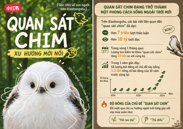 Trào lưu Birdwatching là gì mà 820 triệu người trẻ Trung Quốc đổ xô theo, kéo cả các thương hiệu lớn vào cuộc? - Ảnh 2.