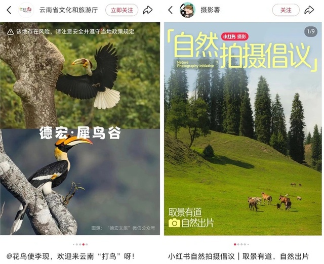 Trào lưu Birdwatching là gì mà 820 triệu người trẻ Trung Quốc đổ xô theo, kéo cả các thương hiệu lớn vào cuộc? - Ảnh 3.