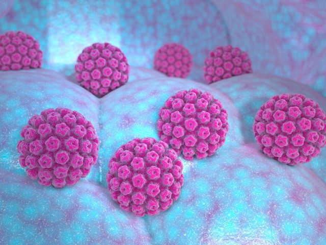 Loại virus &acirc;m thầm g&acirc;y g&aacute;nh nặng ung thư cho người Việt: Chớ c&oacute; chủ quan - Ảnh 1.