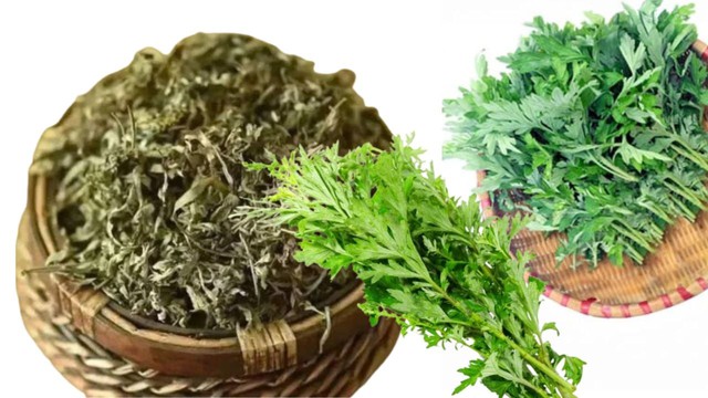 Vì sao người xưa thường trồng 1 bụi cây ngải cứu trước cửa nhà?- Ảnh 1. Vì sao người xưa thường trồng 1 bụi cây ngải cứu trước cửa nhà?- Ảnh 1.