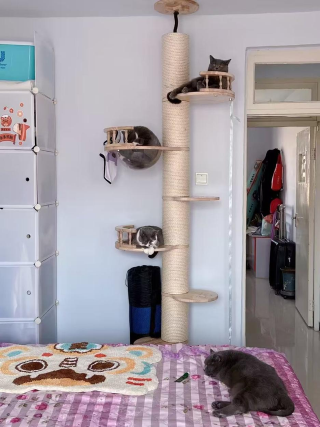 Lương 11 triệu vẫn liều vay mua nhà, 3 năm trả hết khoản nợ 1,4 tỷ đồng: Mỗi ngày tiêu không quá 108k- Ảnh 2. Lương 11 triệu vẫn liều vay mua nhà, 3 năm trả hết khoản nợ 1,4 tỷ đồng: Mỗi ngày tiêu không quá 108k- Ảnh 2.