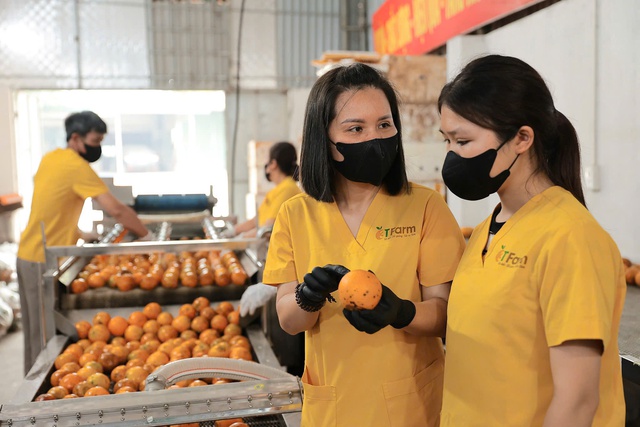 Phát triển sản phẩm OCOP Phú Thọ theo hướng lan tỏa giá trị văn hóa vùng Đất tổ - Ảnh 1. Phát triển sản phẩm OCOP Phú Thọ theo hướng lan tỏa giá trị văn hóa vùng Đất tổ - Ảnh 1.