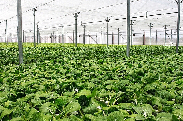 Tích cóp gần 20 năm mới có căn nhà và hơn 1 tỷ đồng tiết kiệm, giờ nghe vợ "lên kế hoạch" mà tôi suýt đánh rơi cốc nước- Ảnh 1. Tích cóp gần 20 năm mới có căn nhà và hơn 1 tỷ đồng tiết kiệm, giờ nghe vợ "lên kế hoạch" mà tôi suýt đánh rơi cốc nước- Ảnh 1.