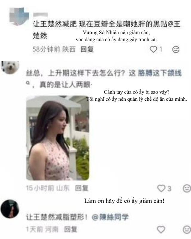 "Bản sao Lưu Diệc Phi" bị netizen Trung kêu đòi giảm cân - Ảnh 2.