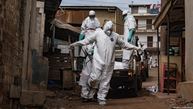 WHO cảnh b&aacute;o: Dịch Ebola đang b&ugrave;ng ph&aacute;t nhanh chưa từng thấy, tr&ecirc;n 2.000 ca nhiễm v&agrave; 796 ca tử vong được ghi nhận chỉ trong 2 th&aacute;ng- Ảnh 2.