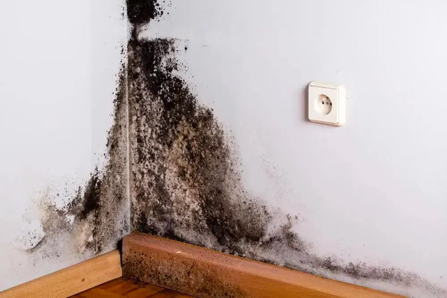 6 vị trí "hiểm" trong nhà là ổ nấm mốc, âm thầm gây mùi hôi mà nhiều người không để ý - Ảnh 4.
