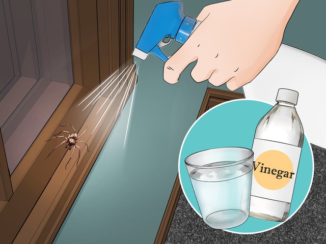 Vì sao nhiều người xịt giấm quanh cửa nhà mỗi tuần? Công dụng không chỉ để làm sạch- Ảnh 2.