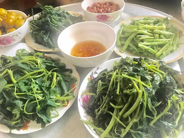 Vợ bỗng nhiên nằng nặc cho cả nhà ăn chay, sau 1 tháng, khi ăn rau đến xanh mặt, tôi mới biết rõ uẩn khúc phía sau- Ảnh 1.