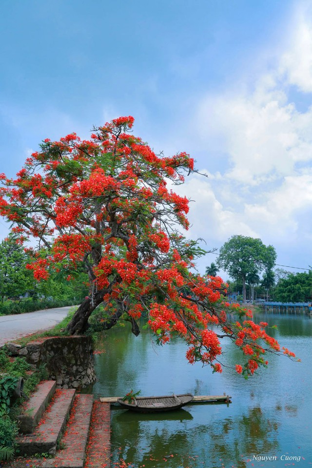 Việt Nam có nơi không cần dùng điều hòa vẫn mát lạnh, là nơi cất giấu 99 giếng cổ từ vó ngựa Thánh Gióng
- Ảnh 13.