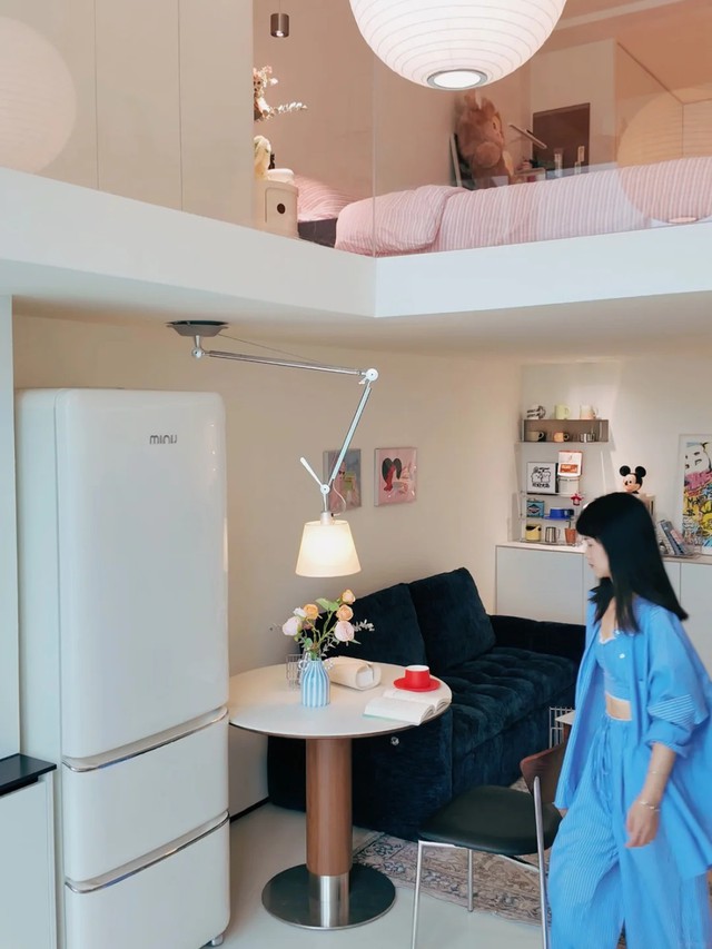 30 tuổi, mua được nhà 30m2 và ở với 2 con mèo: "Thế là đủ sống cả đời" - Ảnh 2.