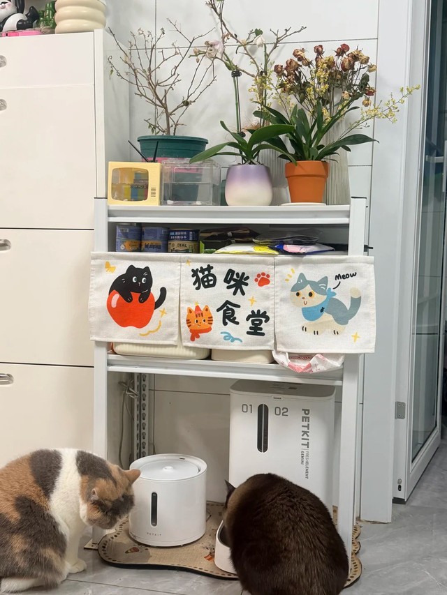 30 tuổi, mua được nhà 30m2 và ở với 2 con mèo: "Thế là đủ sống cả đời" - Ảnh 15.