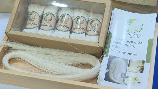 Từ nghị quyết đến thực tiễn: Học sinh, sinh viên TP.HCM bứt phá với khởi nghiệp xanh từ phụ phẩm nông nghiệp - Ảnh 2.